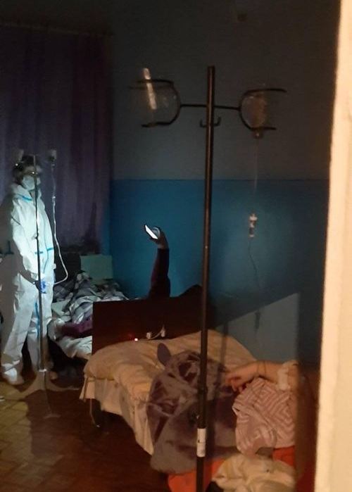 "Это просто капец": украинцам показали больницу XXI века для больных COVID-19 (фото дна)