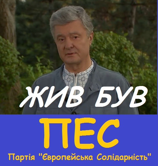 Порошенко в американском пролёте. Владимир Скачко