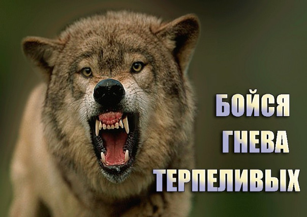 Сладков предупредил Москву об окончании терпения в ЛДНР