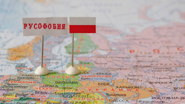 Стариков знает, как вылечить российское зарубежье от дегенеративного вируса