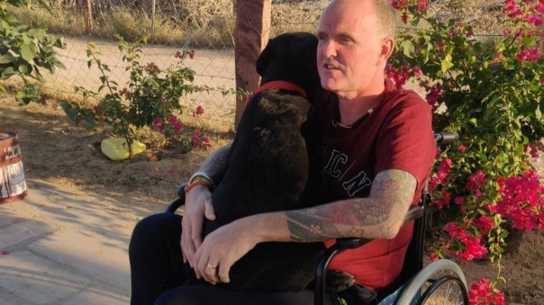 Британский волонтер в Индии пережил COVID-19, лихорадку денге и малярию, а теперь его укусила кобра