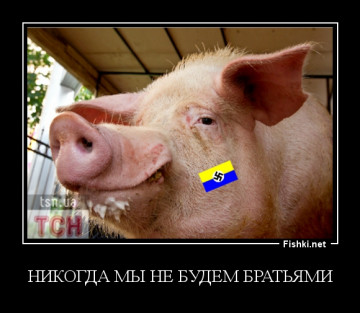Нацистского рока в Донецке не будет