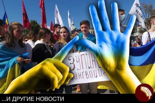 Мова жестов? Осталось придумать украинские цифры