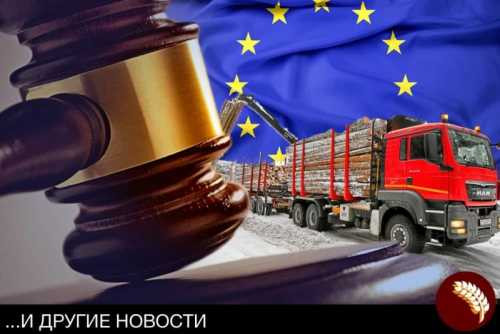 Европа вынесла приговор карпатским лесам