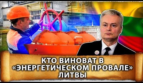 Литва нашла виновных в провале «энергетической независимости» | Белорусская АЭС