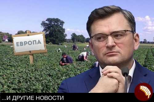 Путь Украины в ЕС ведёт на польские поля
