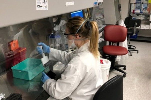 Pfizer вдвое сократила выпуск вакцины от COVID-19 из-за проблем с производством