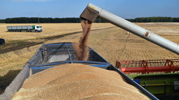 В России начались проблемы с экспортом пшеницы из-за проверок на таможне