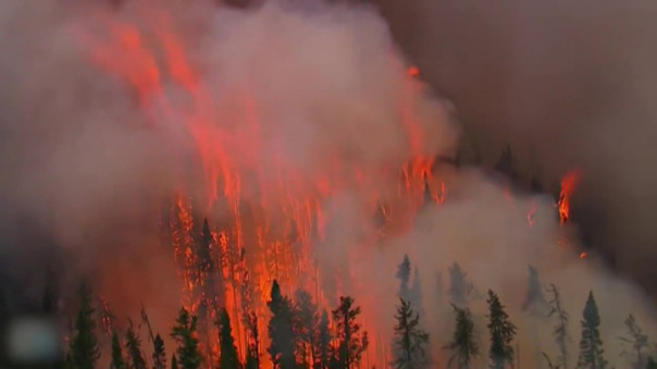 Катаклизмы уходящего года