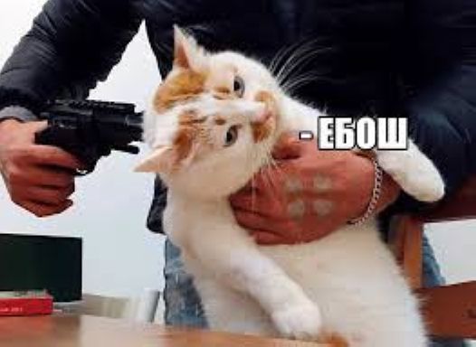 Узрите наступление коммунизма... Александр Роджерс