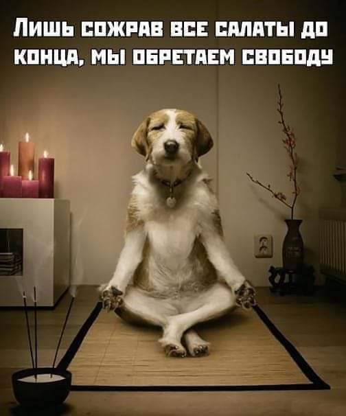 "Мыздобулы" в картинках. Смешных и не очень... 07.01.2021