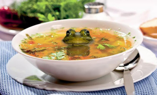Рецепты наглосаксонской кухни. Суп из лягушки.