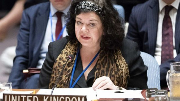 Заявление британского посла о пандемии: комментарий Вячеслава Володина