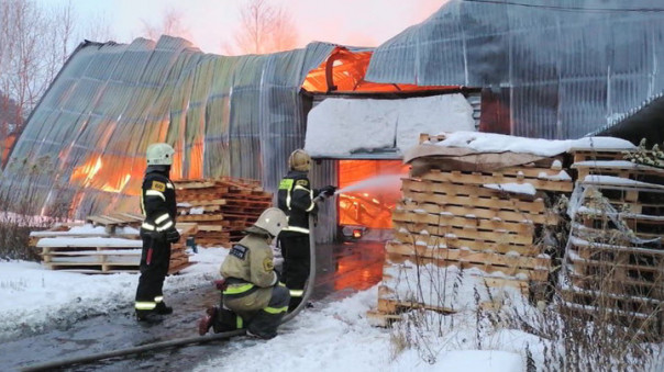 Пожарный поезд прибыл к горящему в Подмосковье мебельному складу