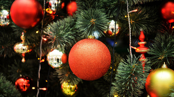 Генетическая память. Размышления под староновогодней елкой