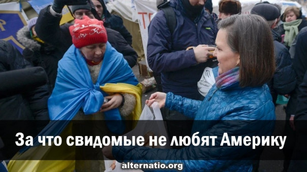 За что свидомые не любят Америку