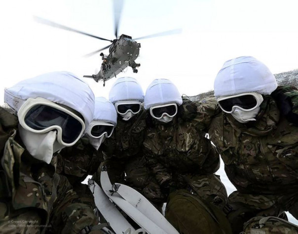 Американские морпехи высаживаются на Севере. К чему готовится Пентагон?