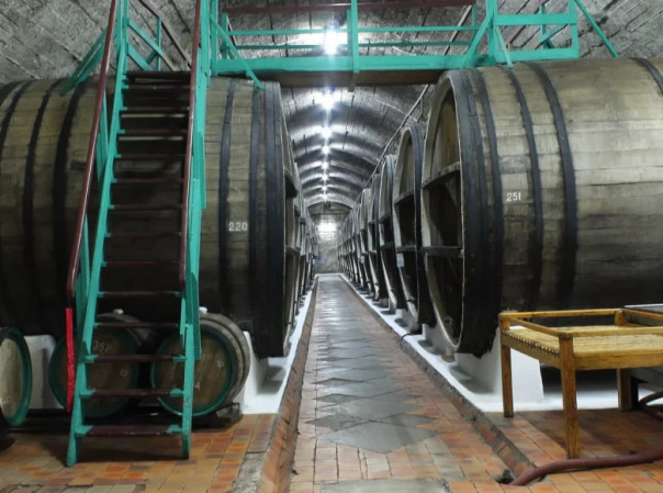 Определился новый владелец крымского винзавода «Коктебель»