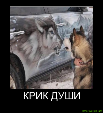 Как любят нас разделять. Крик души