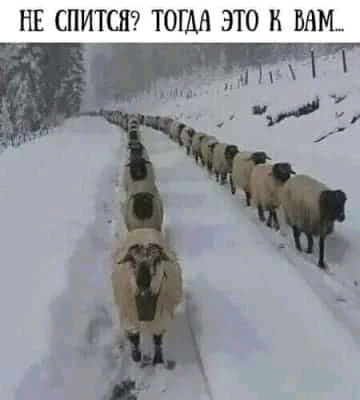 Весёлые картинки # 93