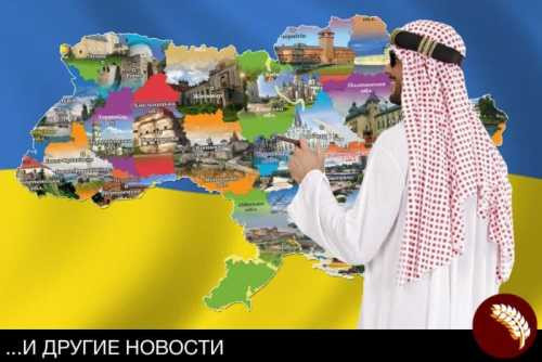 ОАЭ примут участие в приватизации украинской промышленности