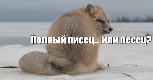 Техасский апокалипсис, как демонстрация возможных последствий "маленькой победоносной войны с РФ"