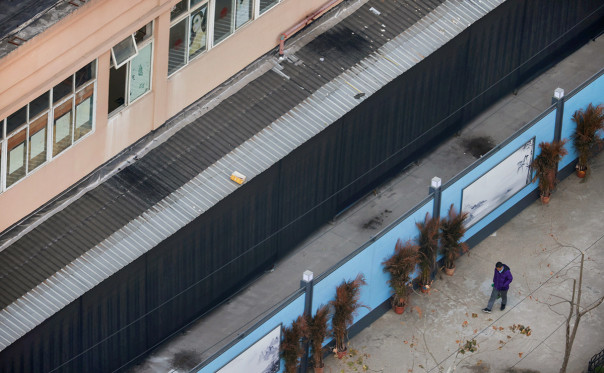 Ученые обнаружили «важные улики» в ходе расследования по COVID-19 в Ухане