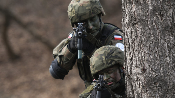 Всё талдычим, талдычим... А когда НАТО бить будем?