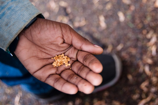 Продовольственный кризис подступает незаметно