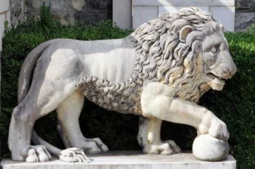 Украинская голова в румынской пасти