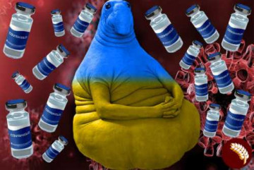 Вакцина CoviShield летит из Индии на Украину