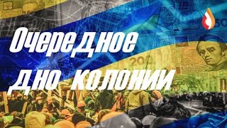 Очередное дно колонии | Пушечное мясо | Колония Неонацизма | Очередная гадалка Соловей