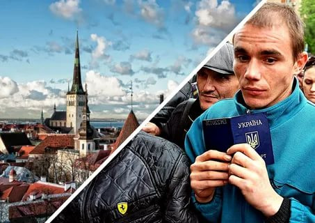 Паника в Эстонии: украинские заробитчане превращают страну в "Мордовию"