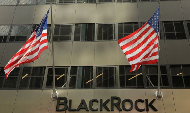 BlackRock берет Америку за горло. Валентин Катасонов