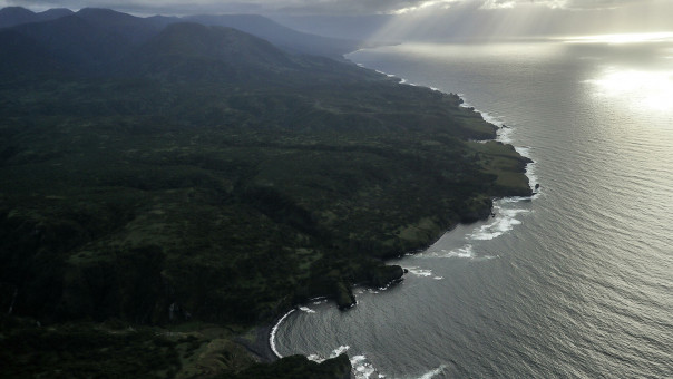 В Госдуме прокомментировали слова премьера Японии о Курилах