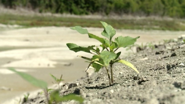 Украина подошла к критической отметке и может стать пустыней