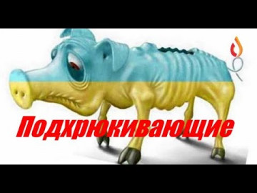 Подхрюкивающие | Вымирающая колония | Херои боятся возмездия