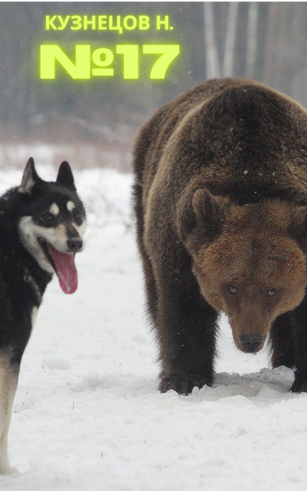 №17