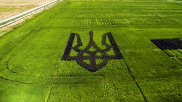 На Украине с 01.07.2021 отменяется мораторий на рынок земли