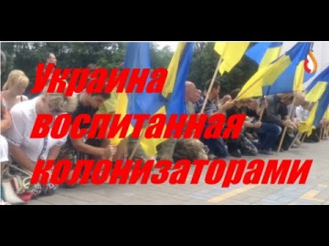 Украина воспитанная колонизаторами | Победуны | Дебильность боевиков с.Б.у.