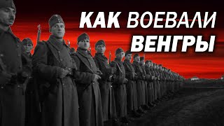 Факты о Венгрии, которые стараются забыть. И. Шишкин, А. Макушин