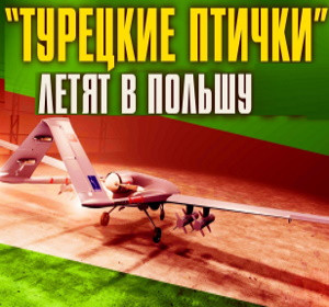 Зачем Польше 24 «турецкие птички»?