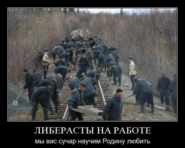 ФСИН предложила заменить трудовых мигрантов заключенными