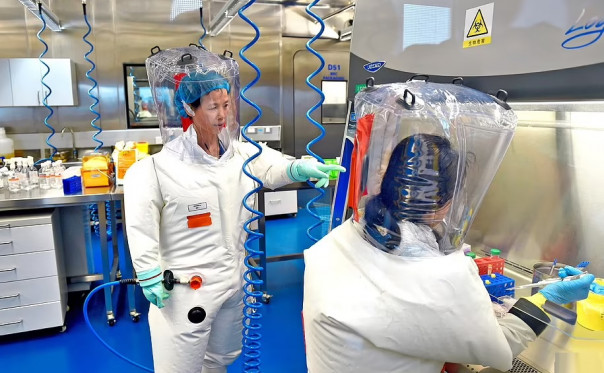 COVID-19 был создан искусственно? Найдены доказательства