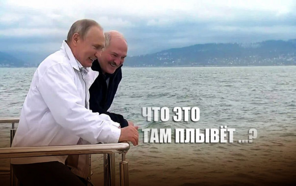 Сеть взорвал украинский мем про Зеленского, Путина и Лукашенко в Сочи