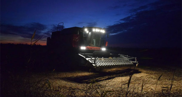 Утечка мозгов из России продолжается. Правда, теперь уже искусственных | Какая локализация? Вы о чем? Мы всё делаем сами