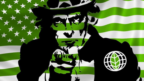 Зелёные по указке США пытаются остановить "Северный поток — 2". Анатолий Вассерман