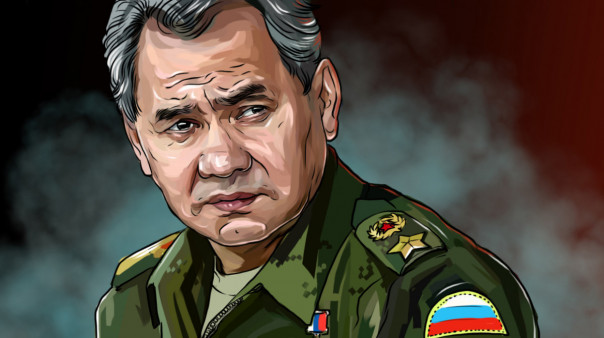 Сергей Шойгу: Разложение общества основная опасность для любой страны