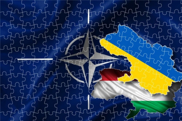 Мнение экспертов. Учения как предлог для наращивания сил: что делают натовцы на Украине