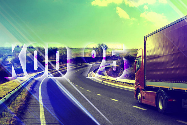 Разъяснения по коду 95: кому и когда он нужен